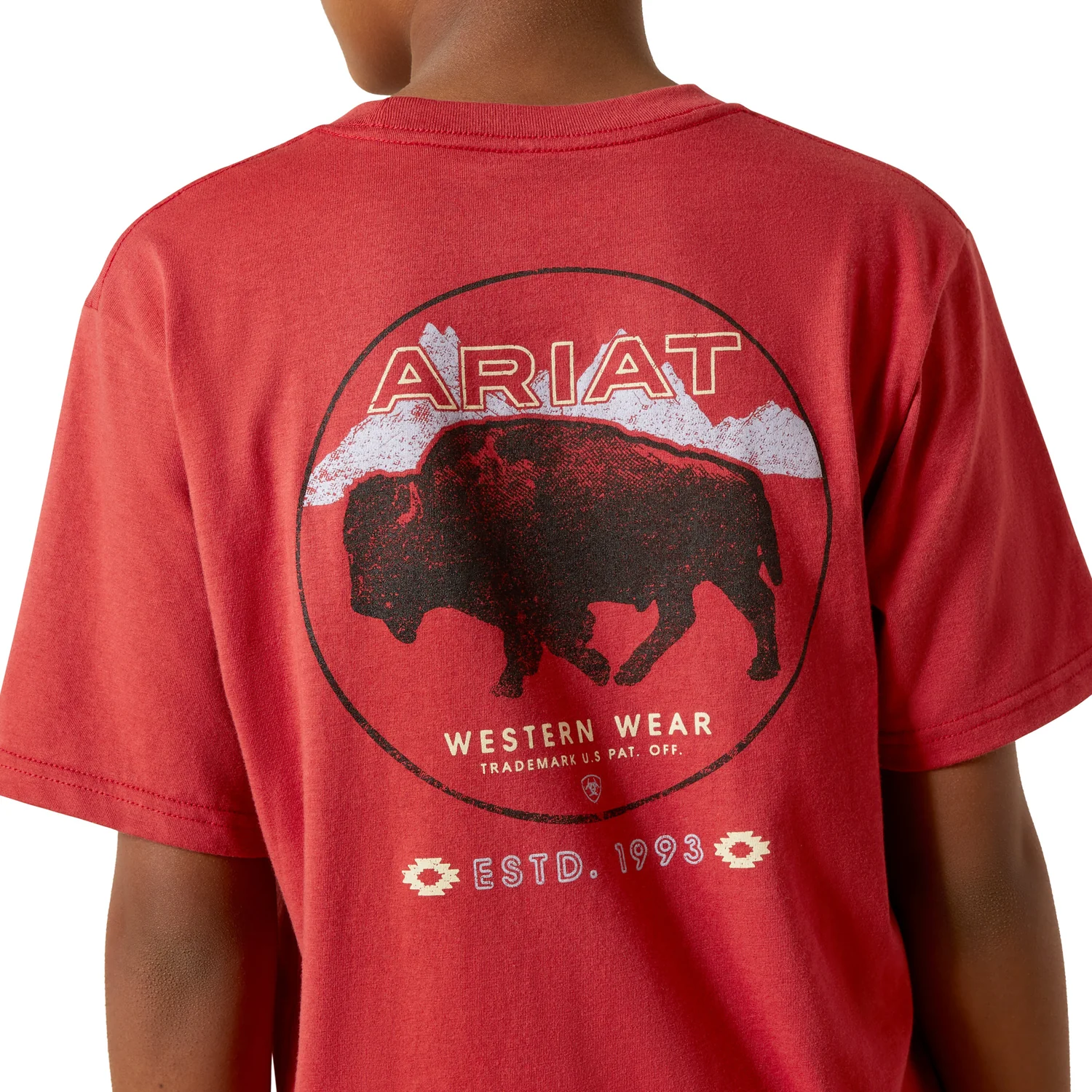 Ariat Boy's Patriot Buffalo Coin Tee - Brick Red - Image 4