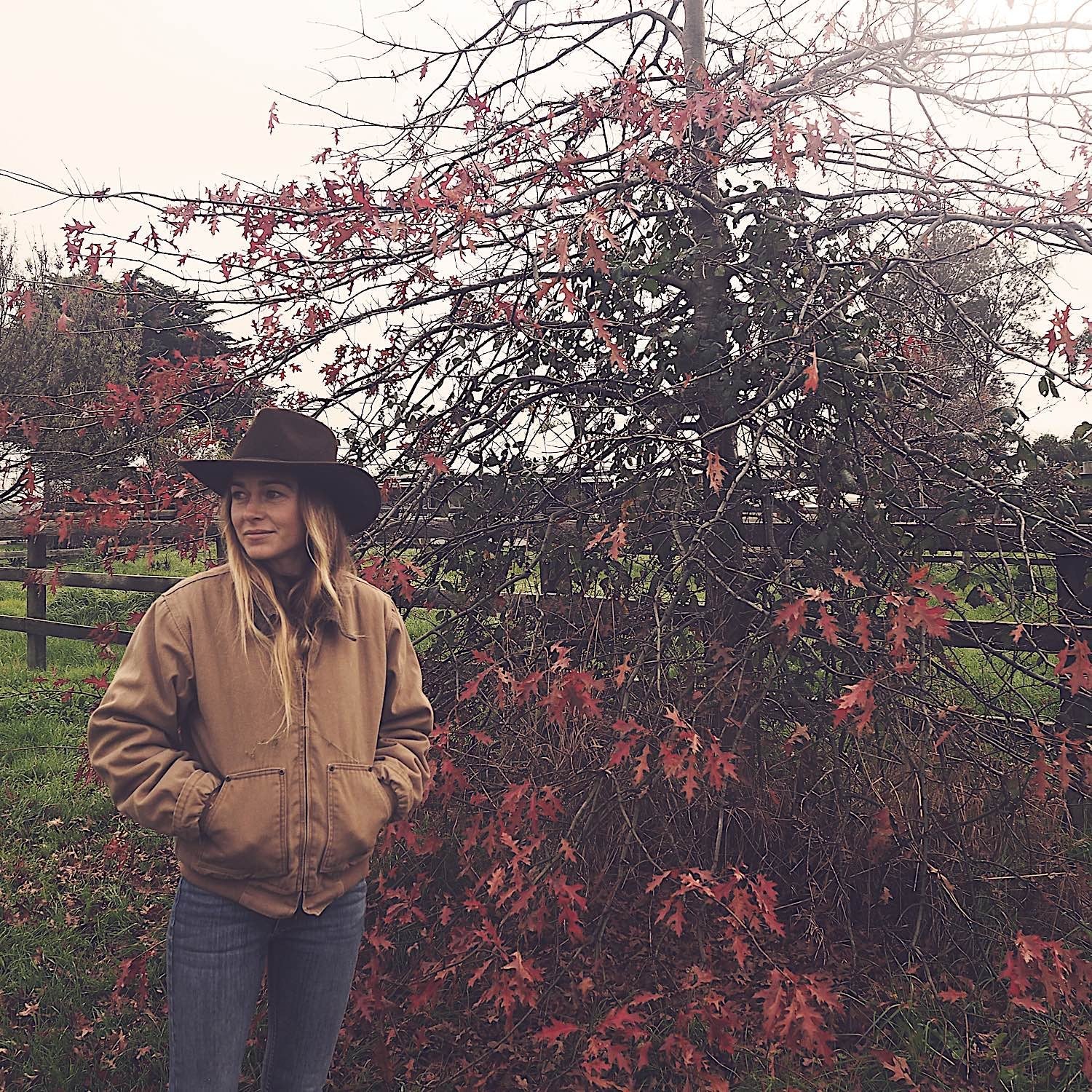 Stetson Horizon Country Hat - Brown - Image 3